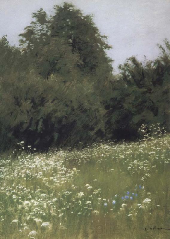 Levitan, Isaak Meadow at the forest edge Spain oil painting art